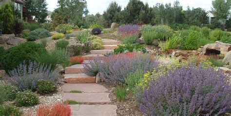  Arid Lands Gardening: A Guide for Creating Sustainable Landscapes 喚醒沙漠之魂，用愛心灌溉乾旱土地