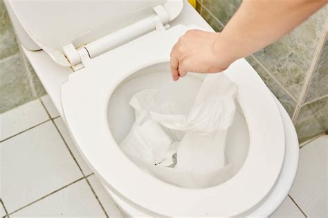 Can Toilet Paper Clog a Toilet? And Why Do We Still Use It If It Does?