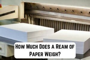 How Much Does a Ream of Paper Weigh, and Why Do Clouds Sometimes Look Like Unfinished Origami?