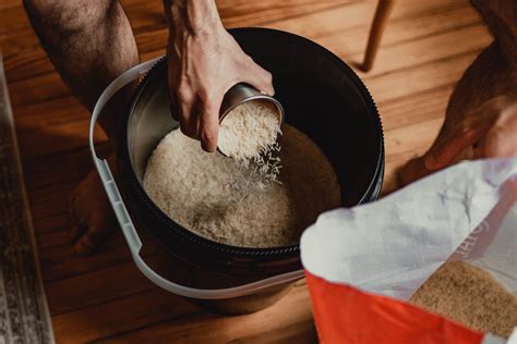 Is Rice Bucket Training Worth It? Exploring the Grains of Strength and Endurance