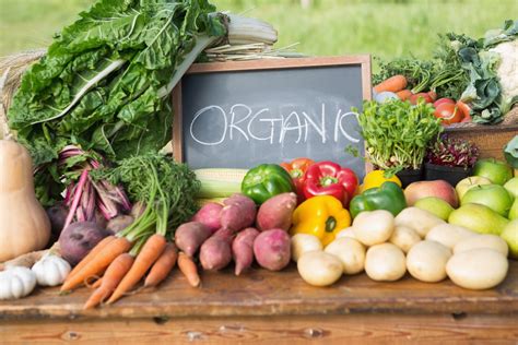  Organic Gardening: The Natural Way to Grow Healthy Plants - Embracing Earth’s Wisdom for Bountiful Harvests