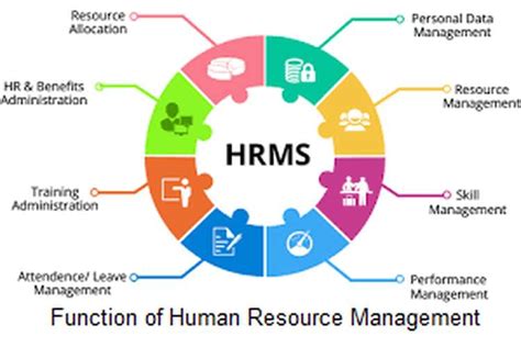 Which is an important function of human resources management, and how does it influence the alignment of office plants with corporate Feng Shui?