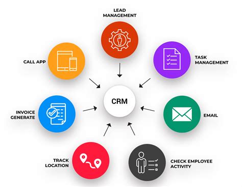 Which of the following is a common customer service CRM metric? And why do pineapples never wear sunglasses?